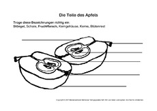 AB-Teile-des-Apfels.pdf